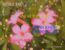 dao vancan flower hearts ngay moi hanh phuo