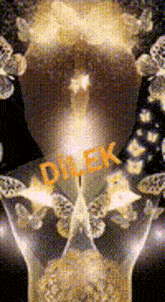 a candle is lit in a glass with butterflies around it and the word dilek is written on it