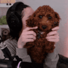 a woman wearing headphones is holding a small brown poodle dog .