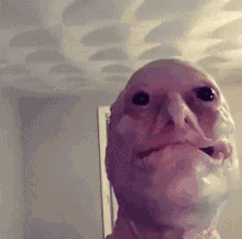 GIF
