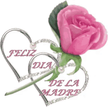 feliz dia de la madre happy mothers day pink rose mothers love