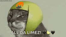 a cat wearing a green helmet with the letter m on it is making a face .