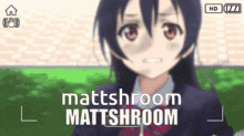 Mattshroom Matthew GIF - Mattshroom Matthew GIFs