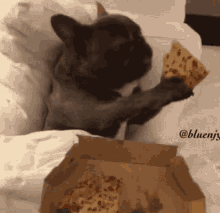 Yummy Pizza GIF - Yummy Pizza Pup GIFs