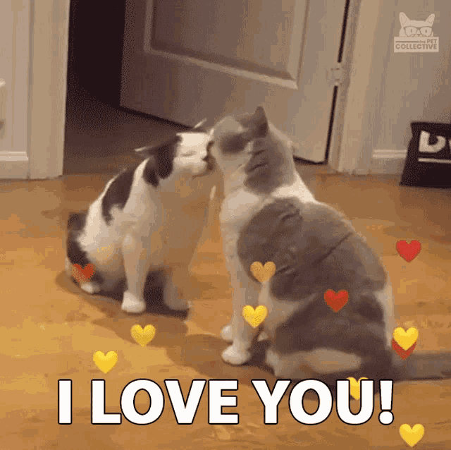 i-love-you-kisses.gif