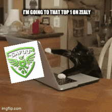 a cat sitting in front of a laptop with a safuu logo on the screen