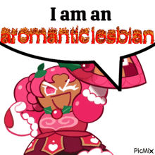a pink cookie with a speech bubble that says i am an aromantic lesbian