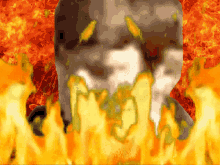 Burn Burning GIF - Burn Burning Hell GIFs
