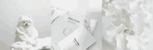 White Enhypen GIF - White Enhypen Aesthetic GIFs