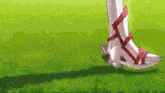 a person wearing a pair of red and white sandals walking on a grassy field