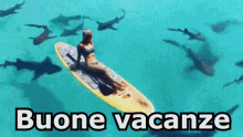 Buone Vacanze Vacanze Estate Mare Sole Squalo GIF - Enjoy Yours Holidays Holidays Summer GIFs