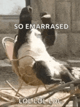 Embarrassed Panda GIF - Embarrassed Panda GIFs