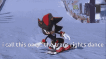 I Call This One The Trance Rights Dance GIF - I Call This One The Trance Rights Dance Shadow The Hedgehog GIFs