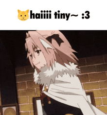 a picture of a girl with a cat behind her and the words haiiii tiny 3