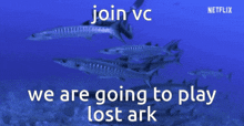Lost Ark Vc Fish GIF