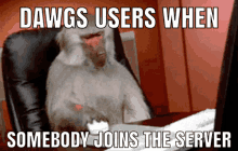 Dawgs Users GIF - Dawgs Users Mdrovell GIFs