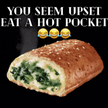 You Seem Upset Eat A Hot Pocket GIF