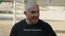 Bring The Dogs Please Cesar Millan GIF