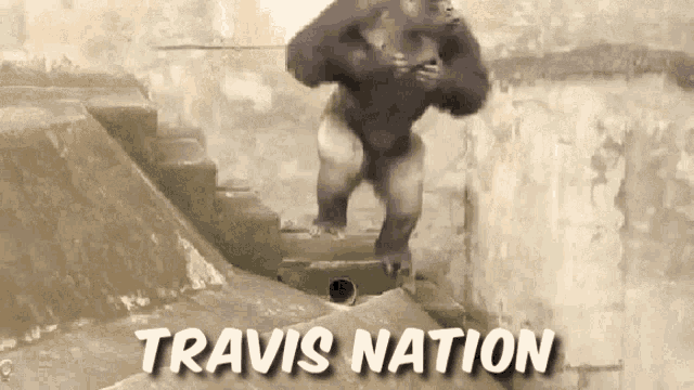 Travis Nation Travis GIF - Travis Nation Travis Travis Naysh GIFs
