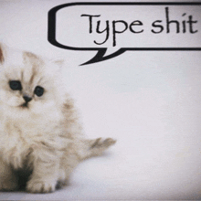 a picture of a cat with a speech bubble that says type shit