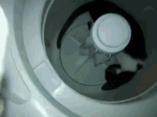 Cat Powered Washing Machine GIF