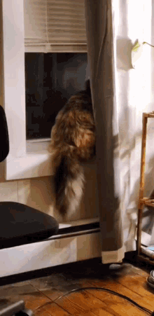 Sweetums Sweets GIF - Sweetums Sweets Poodycat GIFs