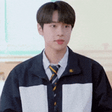 a young man wearing a jacket and tie is standing in a room .