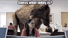Humpday Excited GIF - Humpday Excited GIFs