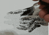 a black and white drawing of a hand with a fork in it