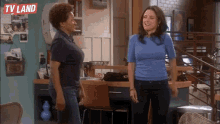Tv Land Tv Land Gifs GIF - Tv Land Tv Land Gifs The New Adventures Of Old Christine GIFs