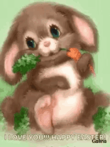 Bunny Cute GIF - Bunny Cute Blinking GIFs