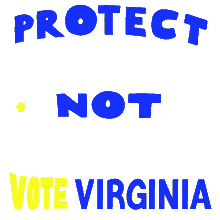 richmond stop gun violence virginia election election voter