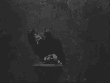 Death Dying GIF - Death Dying Crow GIFs