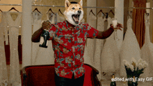 Celebrate Doge GIF - Celebrate Doge Dogecoin GIFs
