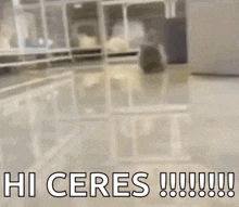a blurred image of a room with the words `` hi ceres ! ''