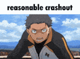 a picture of a cartoon character with the words reasonable crashout above him