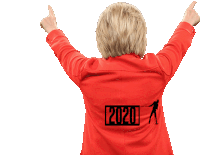 Hillary 2020 Sticker - Hillary 2020 Politics Stickers