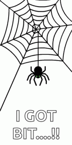 Spider Animated GIF - Spider Animated Hanging - Discover & Share GIFs