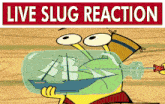 a cartoon character is holding a ship in a bottle with the words live slug reaction above him