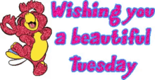 wishing you a beautiful tuesday tuesday
