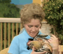 Betty White Rooster GIF - Betty White Rooster Petting GIFs