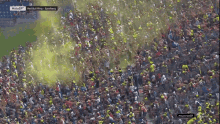 Mexican Wave Celebration GIF