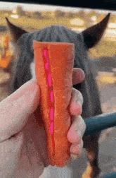 a person is holding a carrot with pink pills in it