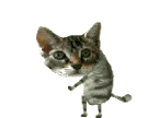 Gato Dance Sticker