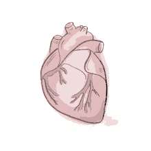 a drawing of a human heart with the numbers 999 on it