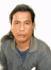 a man with long hair and a gray shirt looks at the camera