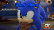 Sonic Boom What About You GIF - Sonic Boom What About You You GIFs