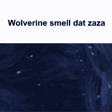 Wolverine Zaza GIF - Wolverine Zaza Smell GIFs