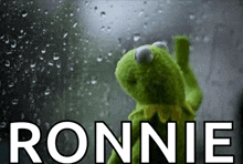 a kermit the frog is looking out a window with the word ronnie written above him