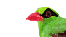 Hmm Annoyed Bird GIF - Hmm Annoyed Bird Bird GIFs